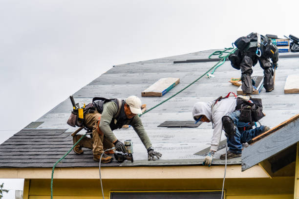Professional Roofing technician working in Cairnbrook, PA